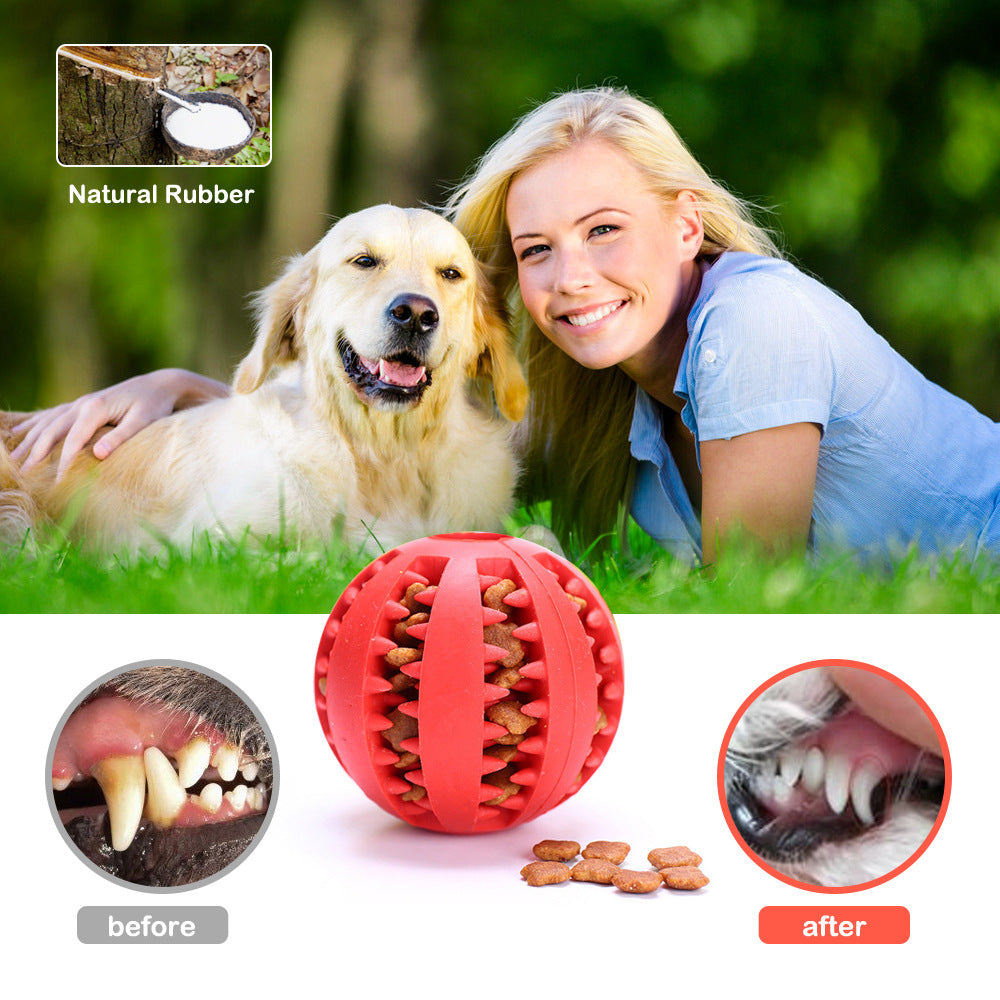 Dog Teeth Chew Toy